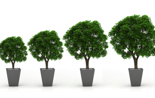 blog - hiring the right vp