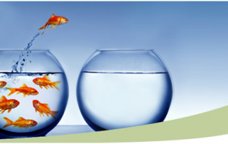 blog - why you havent hired the right