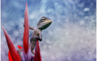 blog - your not hiring leaders